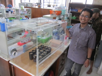 Nur Akbar Arofatullah in Microbiology Lab UGM