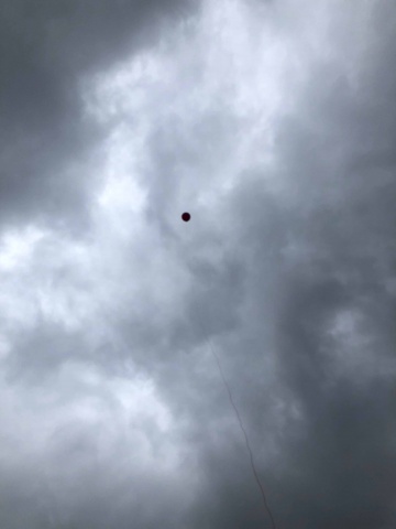PA18 balloon in the sky.jpg