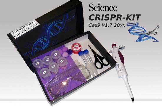 CRISPR Kit2.jpg