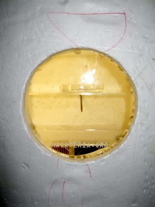 Incubator peephole.JPG