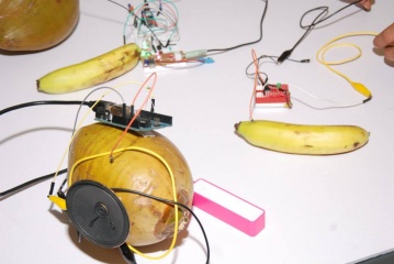 Bananas and coconuts arduinoD15 BLR.jpg